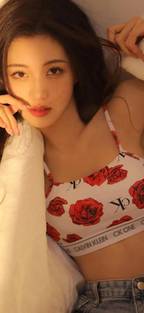 藤本树